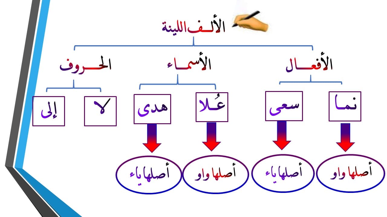 سبب رسم الالف اللينه في كلمة دعا , معلومات فى اللغة العربية