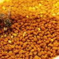 485 1 تجربتي مع غذاء ملكات النحل للحمل - العسل شفاء للناس نهاد