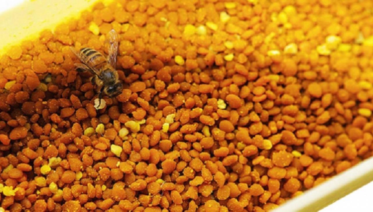 485 1 تجربتي مع غذاء ملكات النحل للحمل - العسل شفاء للناس نهاد